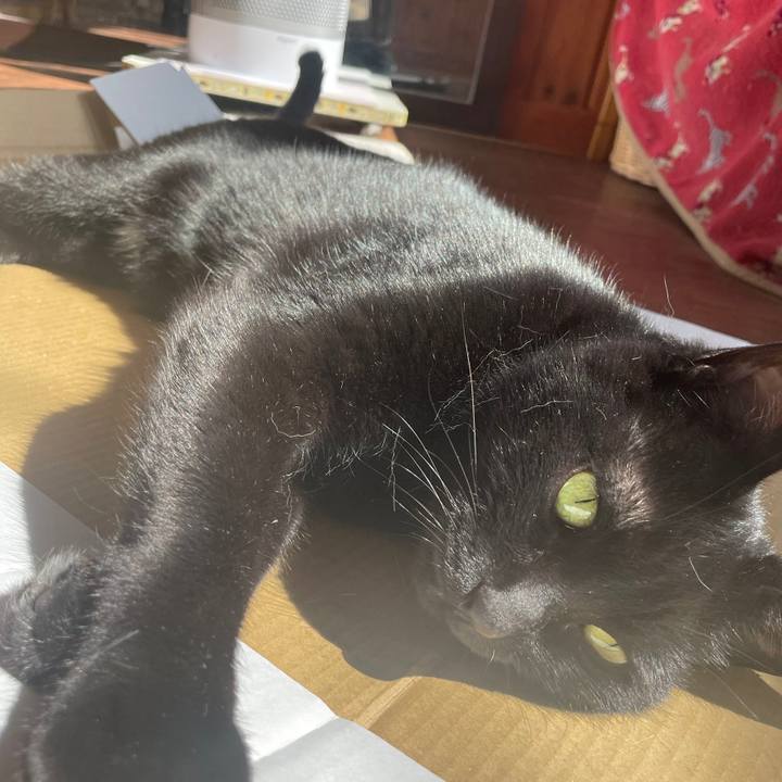 C1c6f188 ef49 4a8b 8da7 3ce8be809788 1645945442410