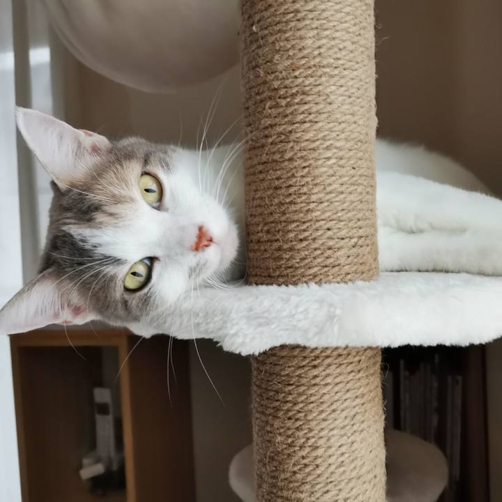 C1c6f69b eb1c 4097 ab9b 013dc9cfae62 1637900017603