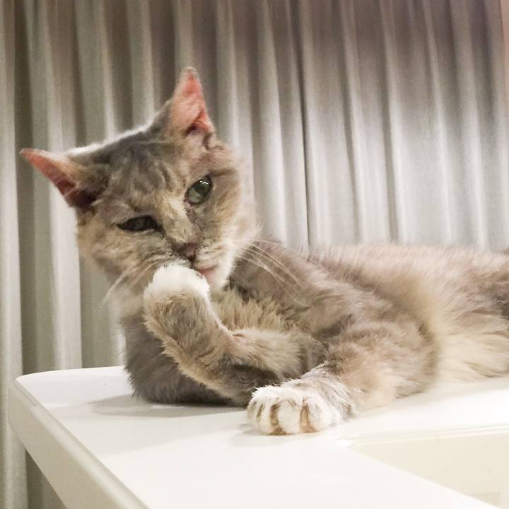 C1c702b7 b359 42c1 9831 0d3f21dc31f1 1529677454974