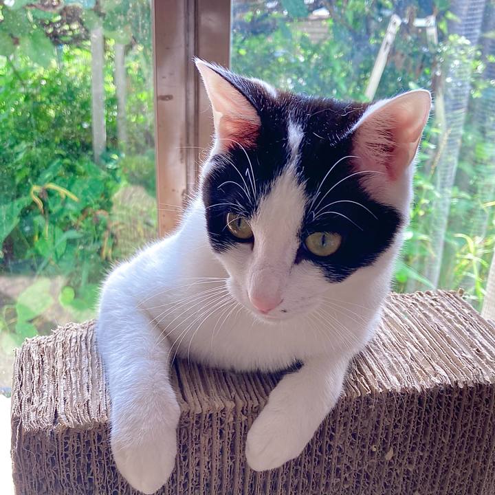 C1c72bf6 5715 45b1 b6af 100aebf0a387 1658042506365