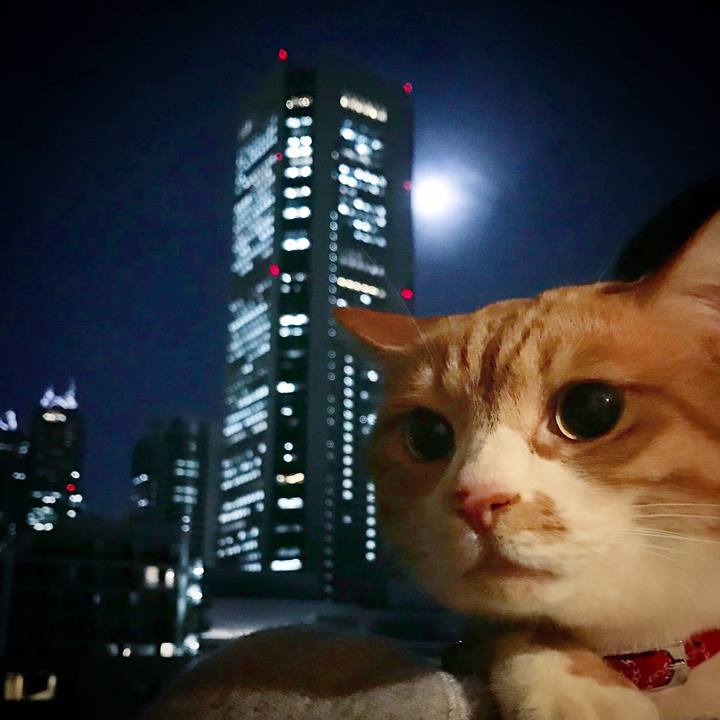 C1c73527 8e64 4de3 88c8 78a841881335 1517684027633