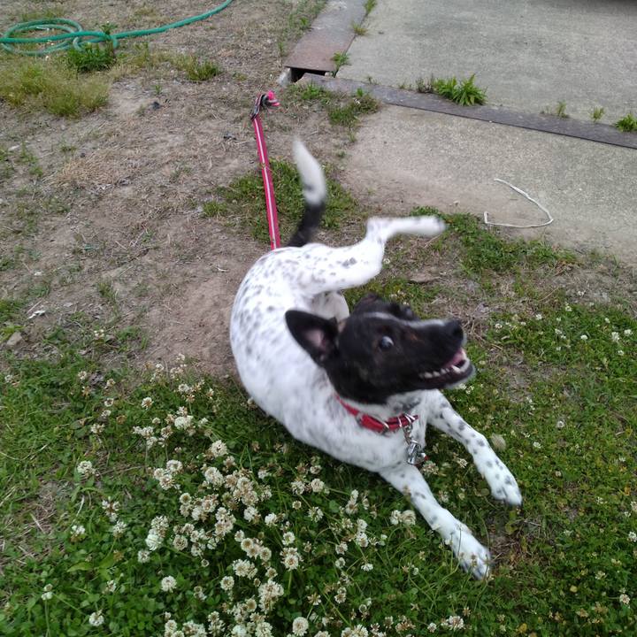 C1c7442b 8acb 4ca8 ae5b 6e4df47c5313 1685614723566