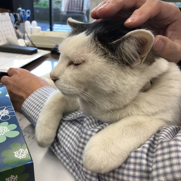 C1c7b5fe 116c 410f b1f1 eeed1d949a10 1580275655999