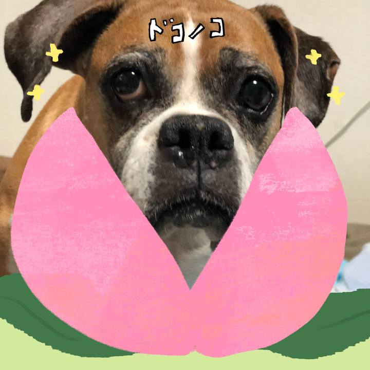 C1c7b984 3ad3 4dc9 a650 7df402db6a1d 1772019452950