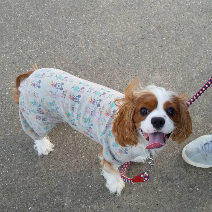 C1c806f0 071b 4dbd 8e96 cd8b0f298b48 1591051404368