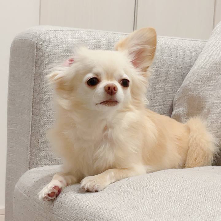 C1c85ee8 a522 4690 b307 c771cad77ac8 1721294501580