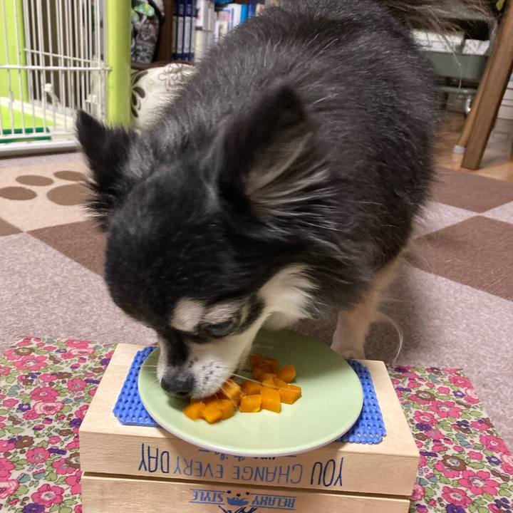 C1c88d94 bcd2 40ca 8007 6e4cabb9130a 1766401014865