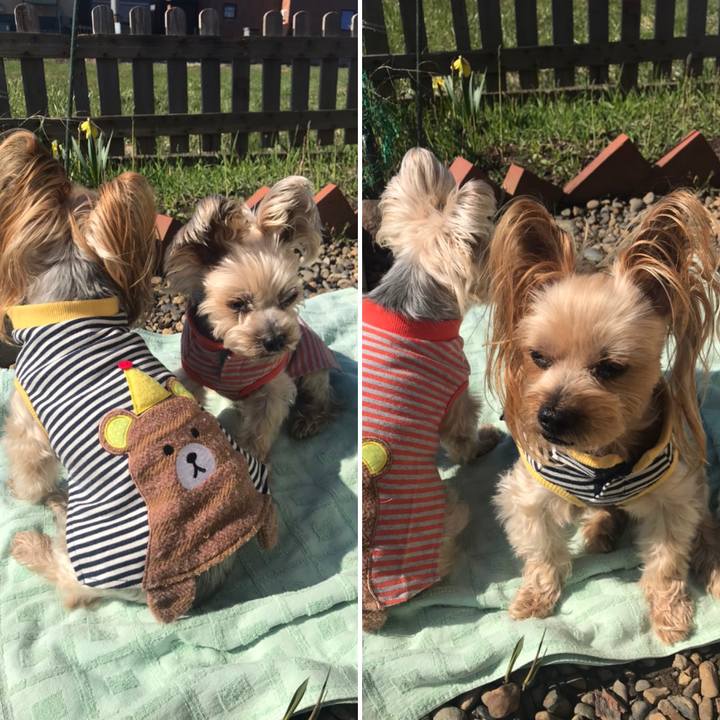 C1c8b43f 814c 4320 95b4 1fa087ca9f1a 1588238390700