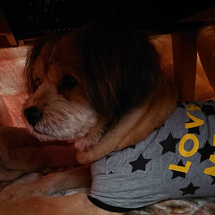 C1c8efe8 dc2b 467d a0f9 742bb20d8497 1581728168143