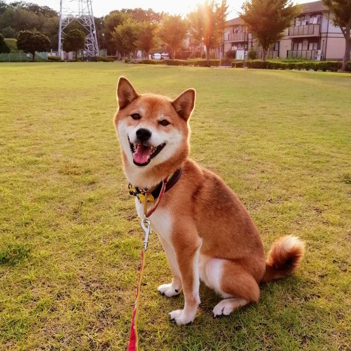 C1c916f0 32b4 4e3f 89b2 ae778240c82b 1597659605192