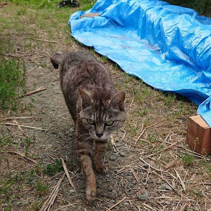 C1c92169 d9fb 4521 ba63 652201fa2bfb 1563266767019