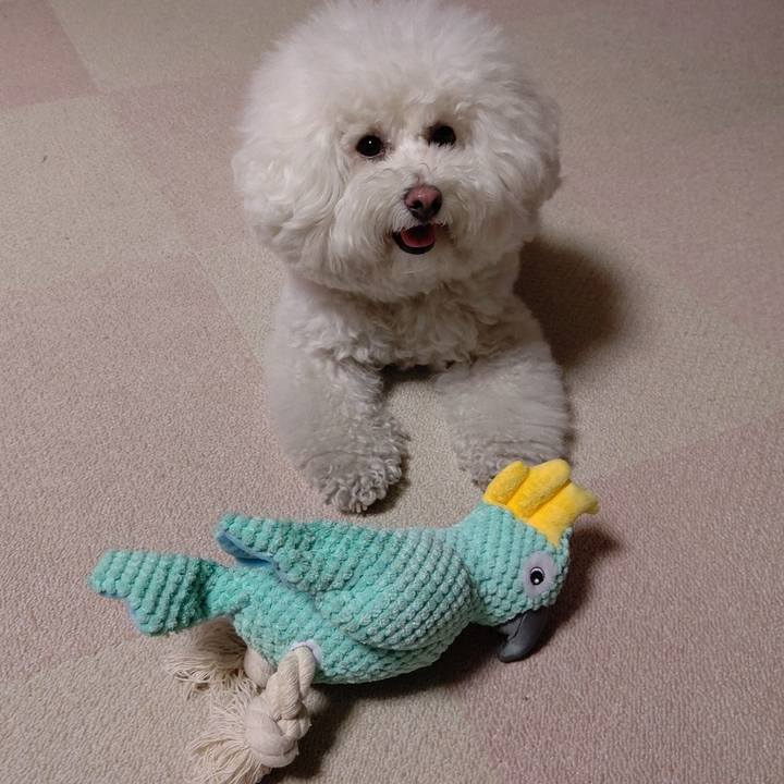 C1c92576 a337 4c27 96a4 07e8745fc15a 1619006166433