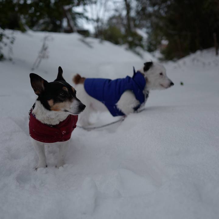 C1c9380b 718b 4bc1 999a cbcb5d5500ca 1518063952537