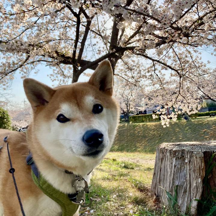 C1c987b6 7d8e 469f a2a1 03b420551bb3 1744021617656