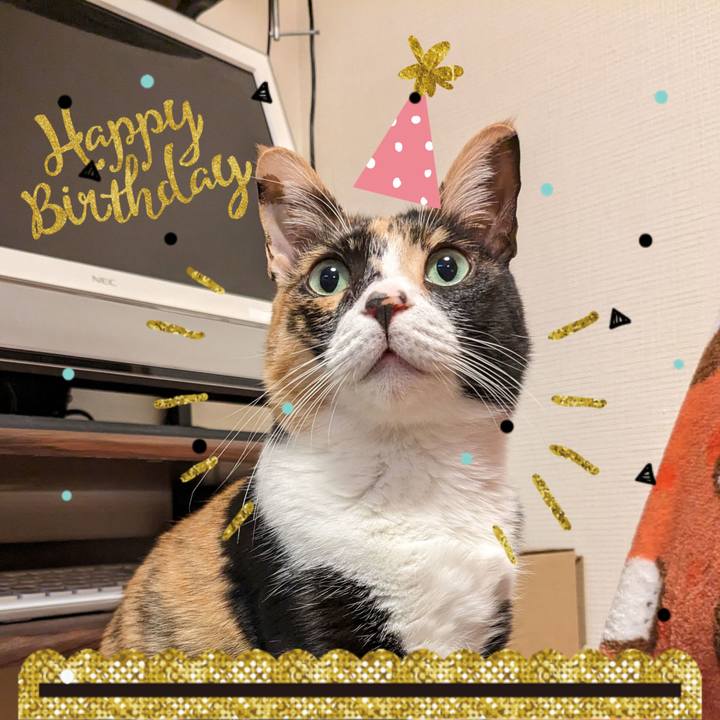 C1c99f9c 0e38 42a9 a042 2573d3615c07 1675555428104