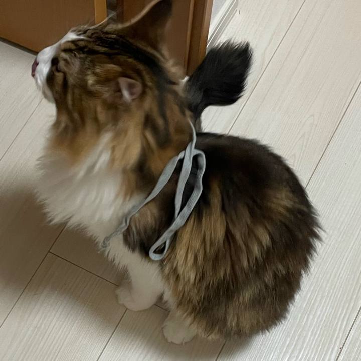 C1c9d524 7d32 4ae5 a1c9 b29273a80c87 1668282923743