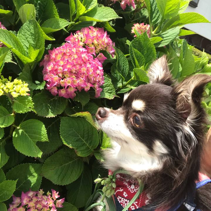 C1c9da7b 8860 41c7 b5fd 4a8ba445002e 1590406141640