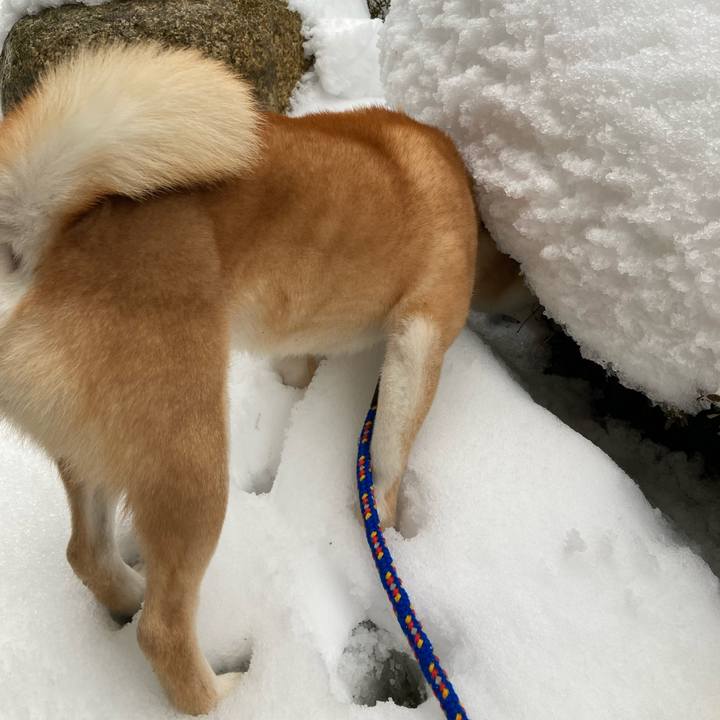 C1c9e5ab 7850 4e99 957f d81ca978835f 1645171677995