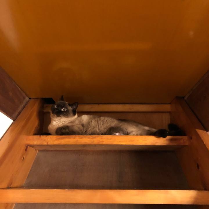 C1ca0b2b ea39 47c4 ab04 fe3e844f3e02 1620612610361