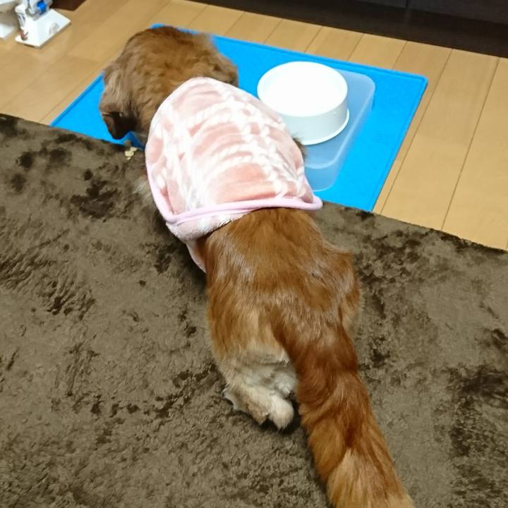 C1ca5266 25e2 416a 92bb 3f2a3fc6f713 1515037604679