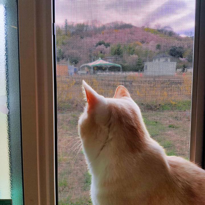 C1ca8ae8 6ec8 4c75 8f46 a20f4126d600 1679613525188