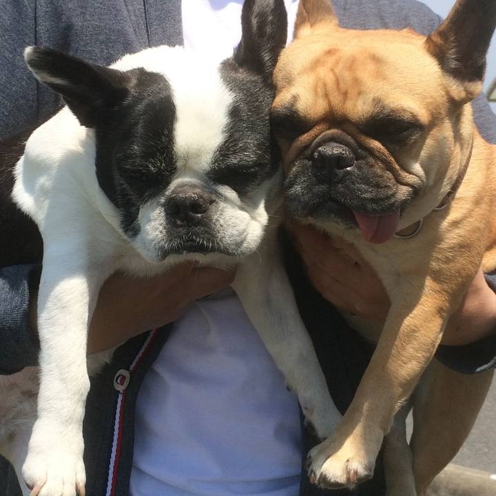 C1cb462c ef6e 4592 91fa 1ad92063a89c 1636302306732