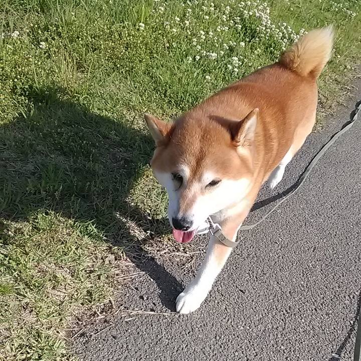 C1cb94b2 5ab0 463e 8cd3 ed1a6425260c 1685059248504