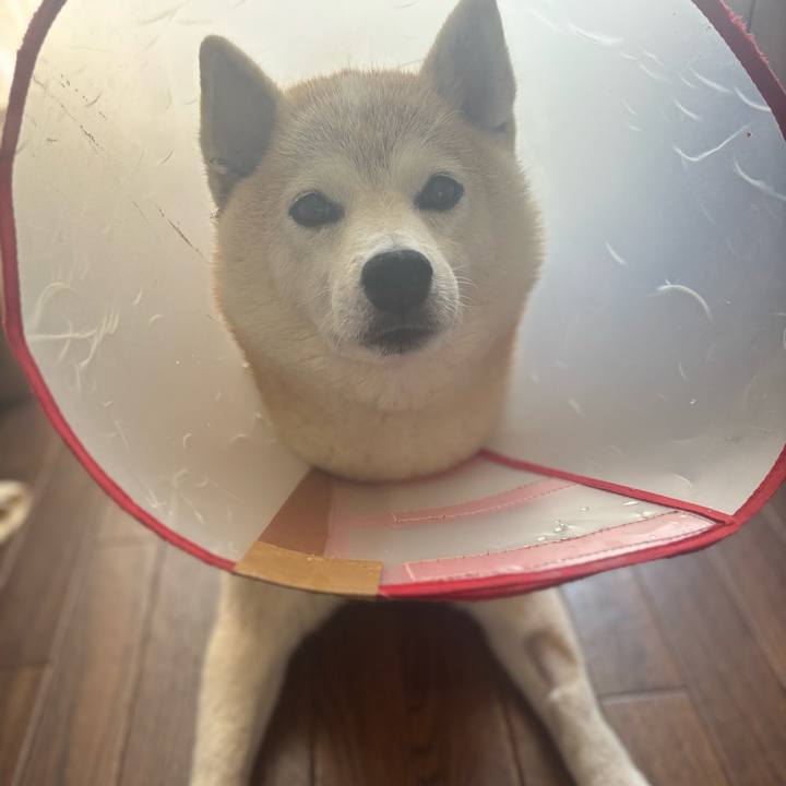 C1cba06c 0444 477a af43 e2e3c07fc36d 1757021856179