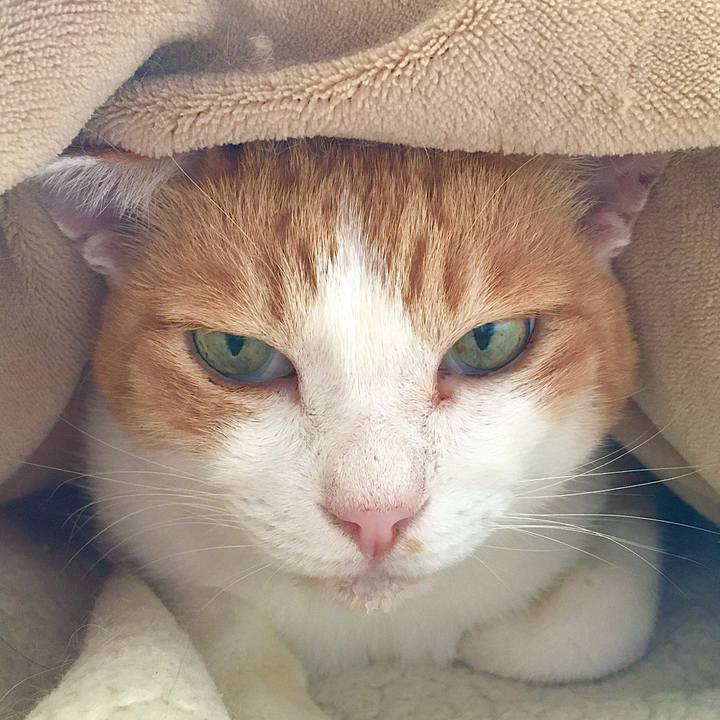 C1cbdb7f d8f8 4c5d 98b9 6325ea9735c5 1601711877780