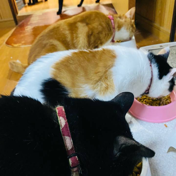 C1cc344f 597e 4db9 a3d2 0ee68085b1c4 1658782110962