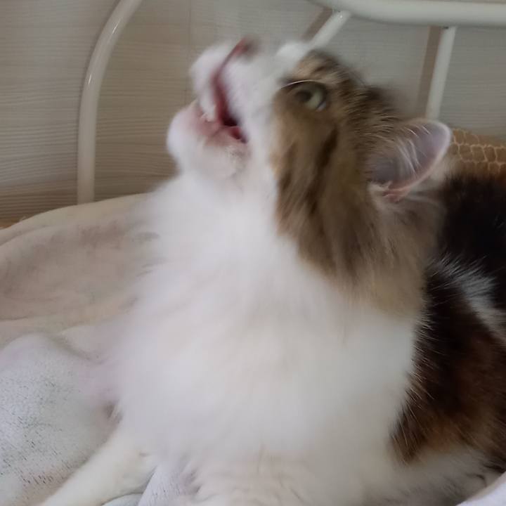 C1cc4480 f346 4ad2 a31d 3407749dc27c 1652068748495