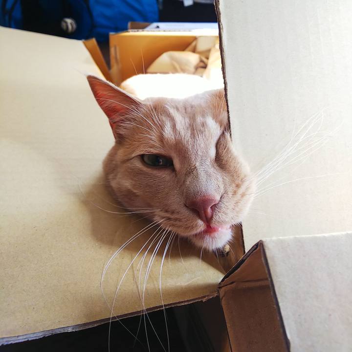 C1cc4dd9 b4fd 4784 90bd 72222fb4b1a0 1620284710525