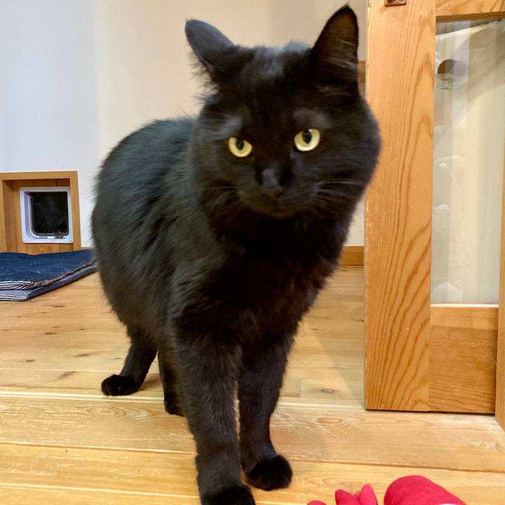 C1cc7625 37d2 446e 888d d62f4d3b0958 1765963396719