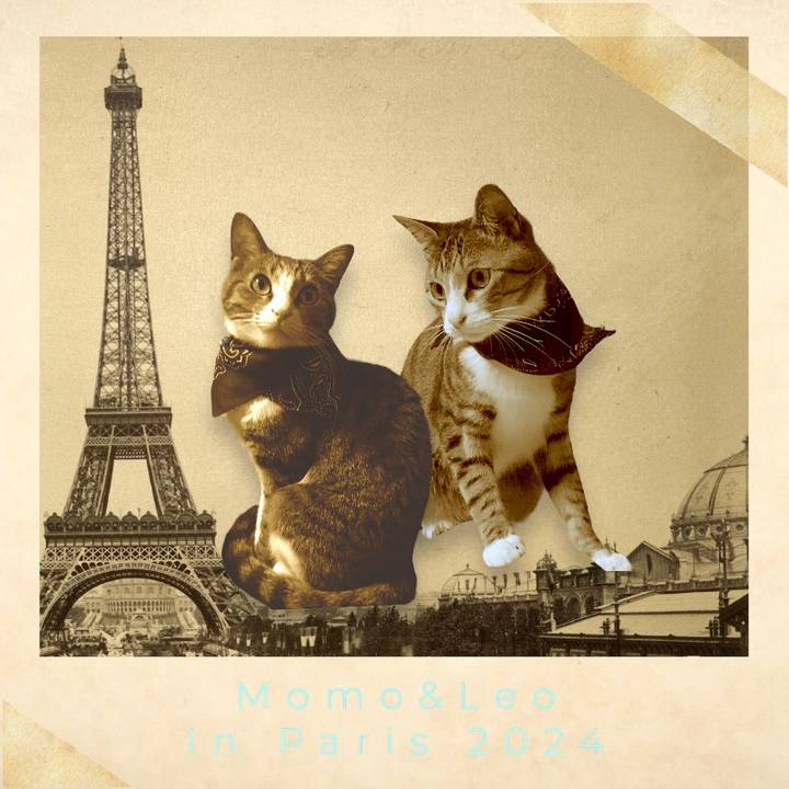 C1cc8a06 169f 46df 83ed 1c281af75ea5 1722065139209