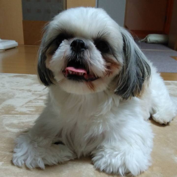 C1ccad44 9bfc 4254 9edb f11c9a470300 1561383525456