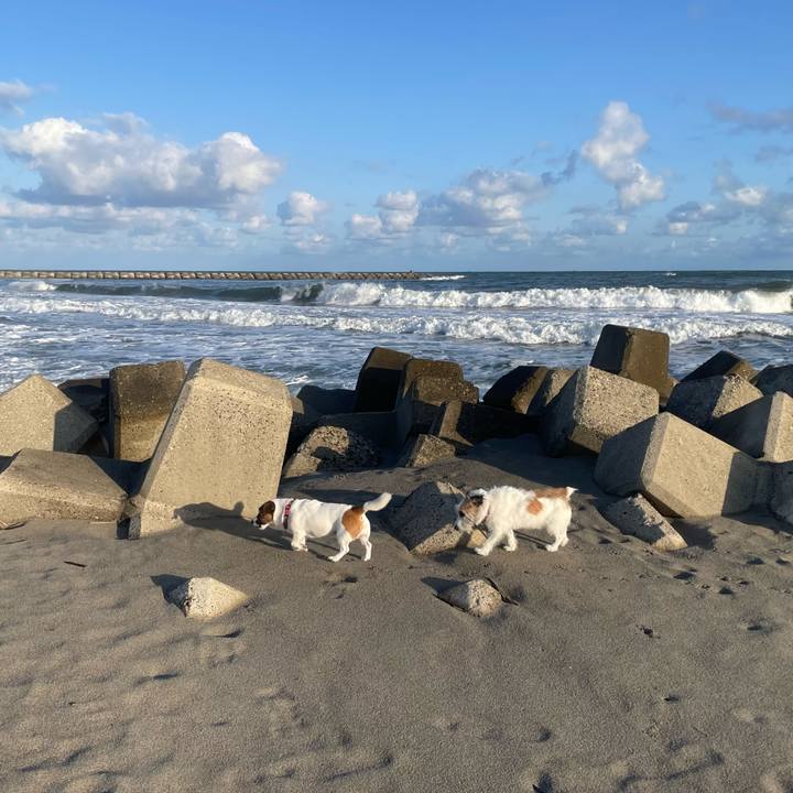 C1ccc6f2 e9b4 4d76 bf31 c9fc5b3ed75a 1760657727586