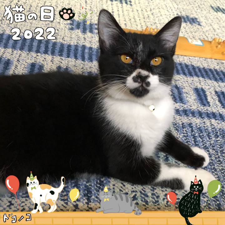C1ccd08b 90cf 4390 8895 f4233dba2119 1645492523880