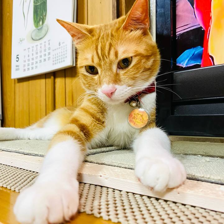 C1ccff3a da71 4940 87e8 e644a00ea9ed 1684336686526