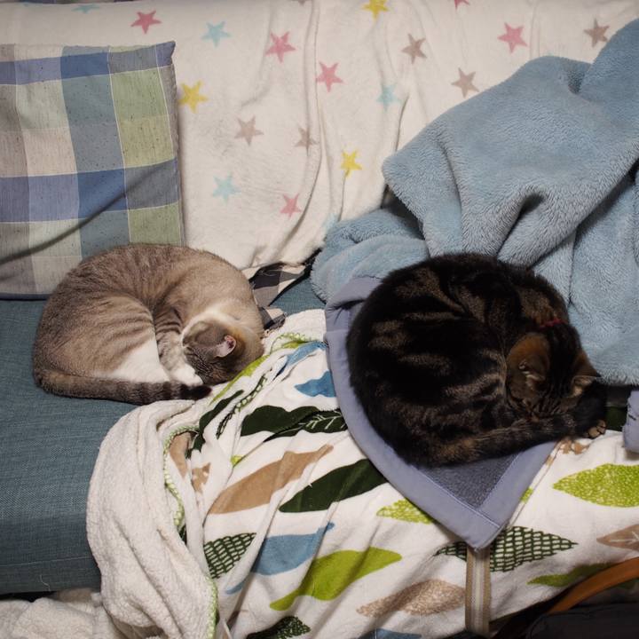 C1cd4308 65c8 401e b250 8ac6c8658ed4 1589462835101