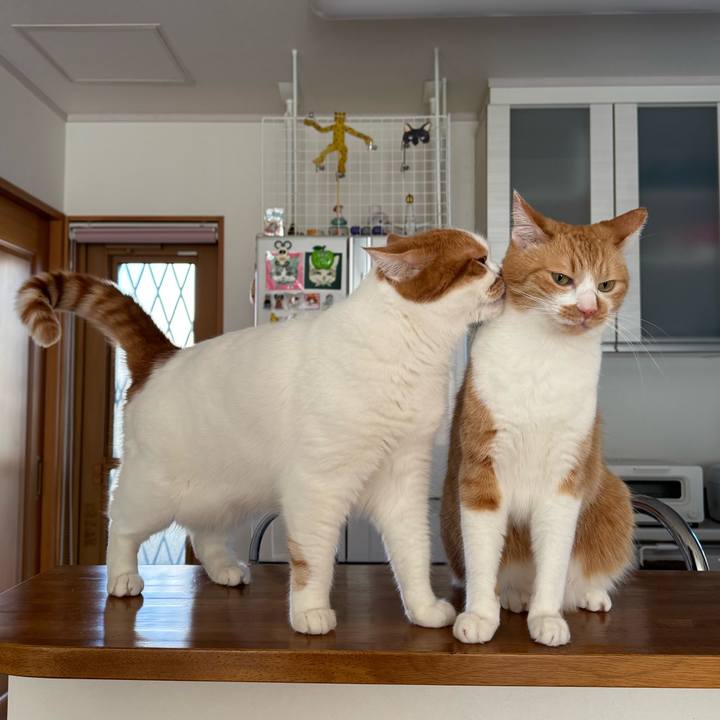 C1cd7b33 6cd4 461b 8f70 3bb67eb85175 1767581781120