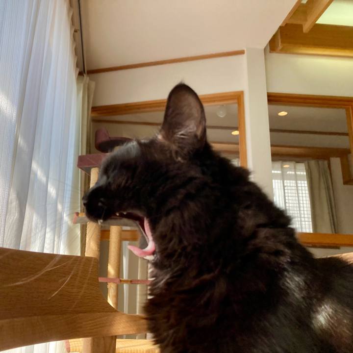 C1cd7d71 fe2e 4951 8489 e7d35ee82699 1730599101708