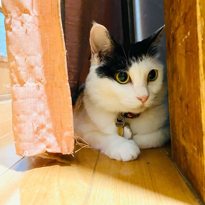 C1cd8d85 4518 4d70 9fd3 ef4d88427f03 1752676537375