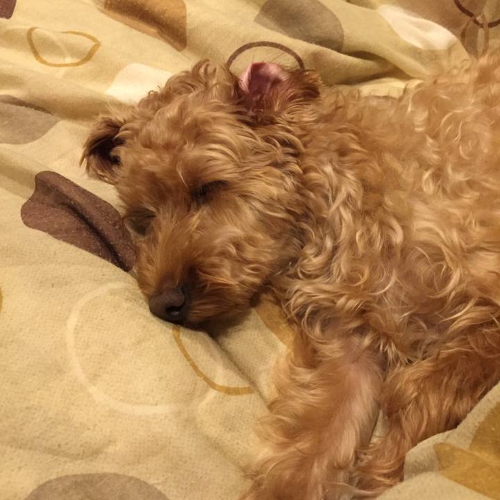 C1cd9641 ad0e 4719 a4d1 5313098679a6 1510142592861