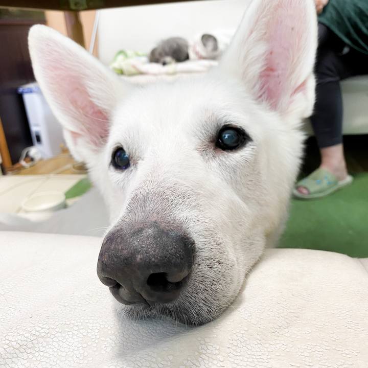 C1cd9909 ec32 4919 8202 feb14c5d8c1a 1667207289047