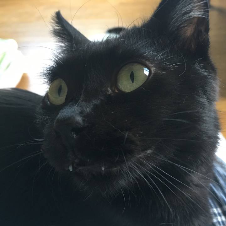 C1cda330 5094 4fba ade6 7194aa24d308 1533108881121