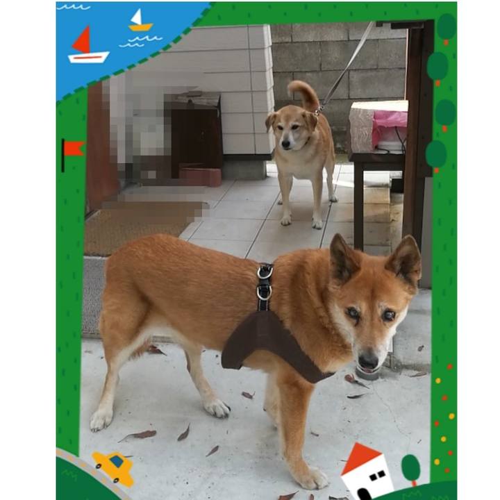 C1cdfe39 fd16 4d42 bcda 7f3e990d3d6d 1559806998478