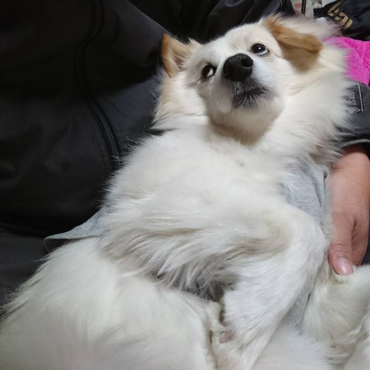 C1ce1cf5 dd39 426c bf63 55ff29fd4ae2 1519507482305