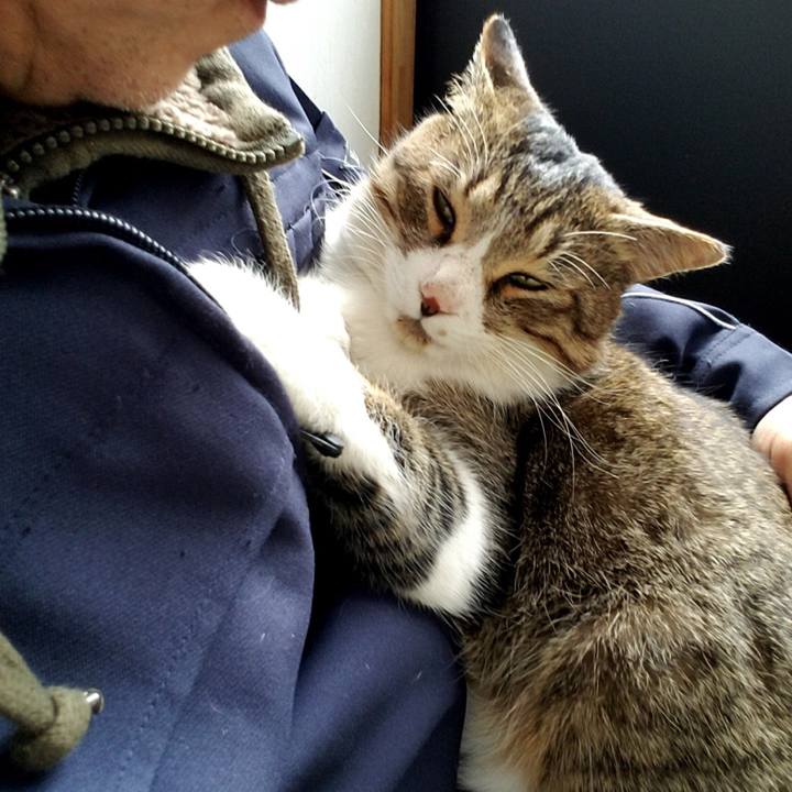 C1ce2957 a8e5 4ab9 af0e b7a5035e5ec0 1513434490491