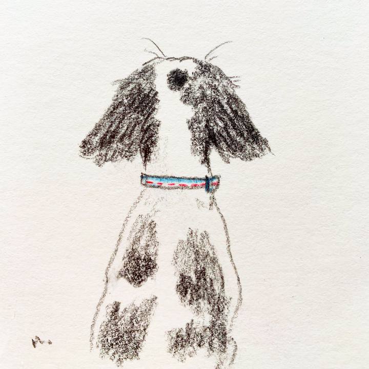 C1ce51e4 61ae 4c5e 8808 cb317ffba46c 1614302506193