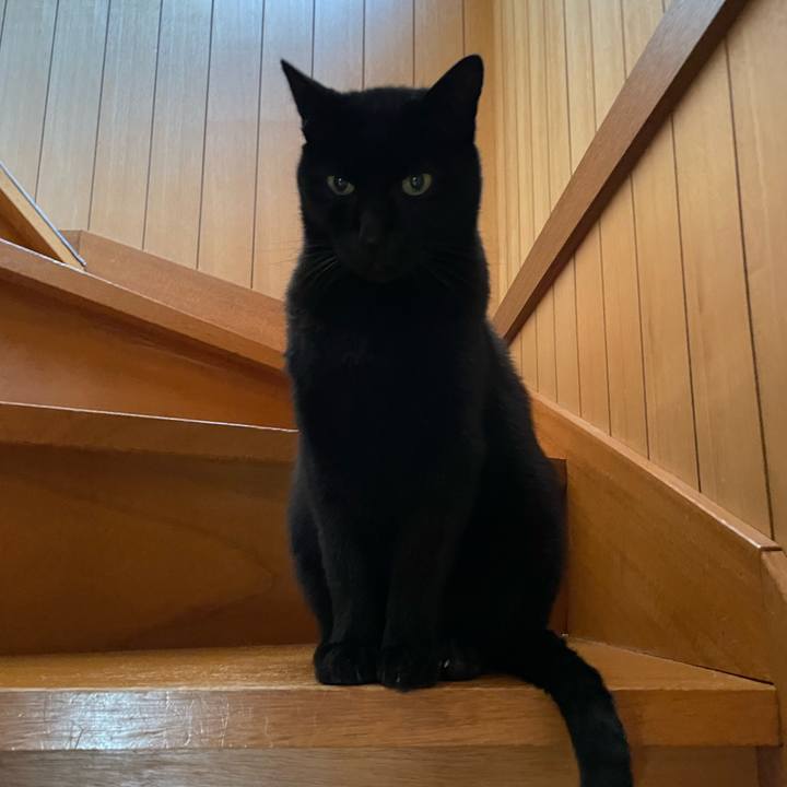 C1ce5d46 9fc8 49ac 892b e8c2fcb9ff85 1640051804255